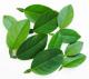 How To Use Lime Leaves In Cooking